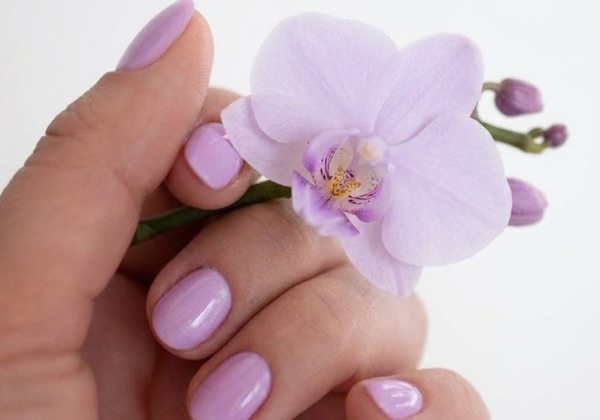 Main aux ongles vernis lilas tenant une fleur d’orchidée mauve